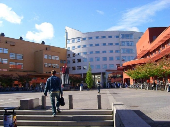 Thủ tục xin visa du học Thụy Điển cần những gì?