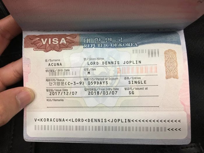 Chia sẻ chi tiết thủ tục xin visa thăm thân Hàn Quốc