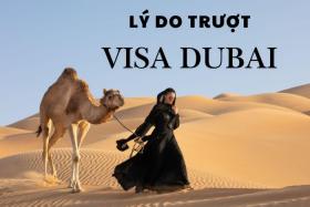 Top 7 lý do trượt visa Dubai phổ biến nhất và bí quyết tăng tỷ lệ đậu