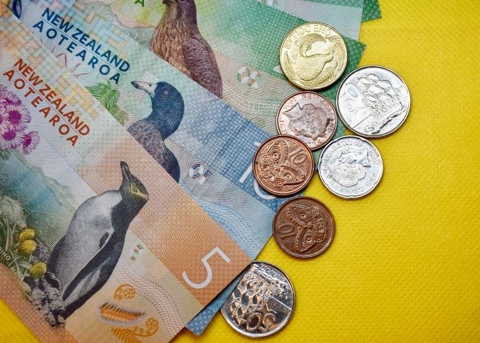 Chứng minh tài chính yếu là lý do trượt visa New Zealand phổ biến