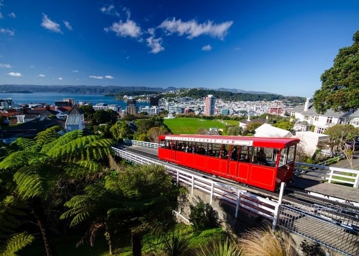 Mục đích nhập cảnh rõ ràng là lý do trượt visa New Zealand