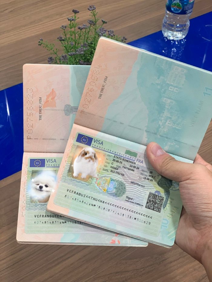 thủ tục xin visa đi Pháp thăm thân