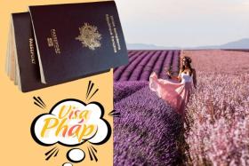 Chi tiết về hồ sơ xin visa Pháp cập nhật đầy đủ từ A đến Z 