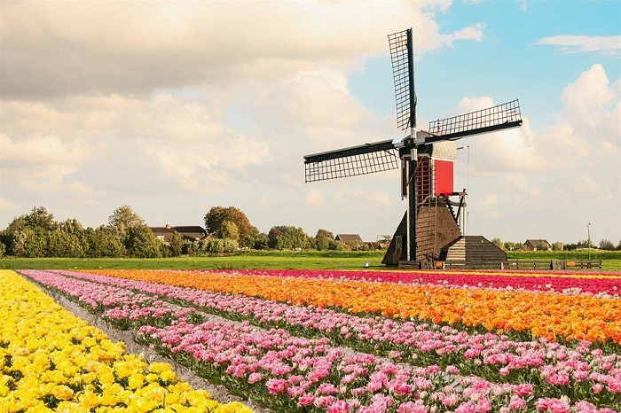 Xin visa du lịch Hà Lan